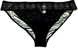 3X - NWT Adore Me black sheer mesh bikini panty pretty waistband (XX154) - Picture 1 of 2