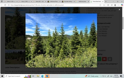 Terreno California en venta - ¡0,94 acres con árboles altos y nivel! - Condado de Modoc Foto 1 de 4