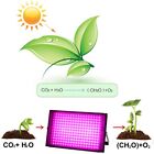 Convenient Installation and Full Spectrum Coverage with 50W LED Grow Light