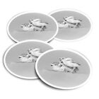 4x Round Stickers 10 cm - BW - Piping Plover Chicks Bird  #35407