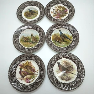 Barratts Fine Tableware Bird Game Collection Side Plates 20 cm Made in England - Picture 1 of 18