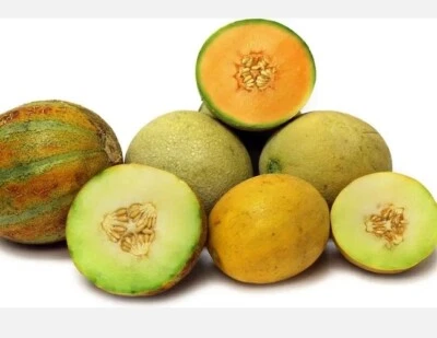 🍈 50+Cantaloupe MIXED  SEEDS  Organic non-gmo  - image 1 of 4