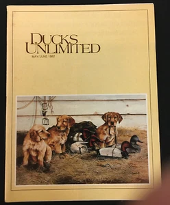Ducks Unlimited Mai/Juni Vintage 1982 Vol. 45 Nr. 3 - Bild 1 von 12