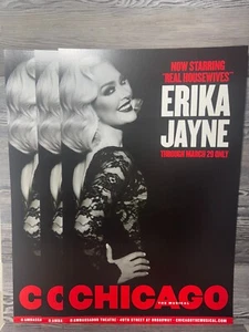 TARJETA/PÓSTER VENTANA CHICAGO, THE MUSICAL, ERIKA JAYNE, BROADWAY - Imagen 1 de 9