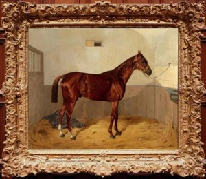 Handmade Old Master-Art Antique Oil painting Animal Bay Racehorse on canvas - Picture 1 of 2