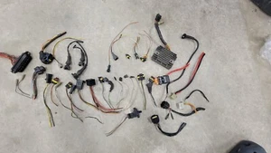 2003 2004 Ducati Monster 800 Wiring Harness Pigtails Set w/Fusebox fuses etc - Picture 1 of 8