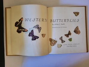 WESTERN BUTTERFLIES SUNSET JUNIOR BOOK Arthur Smith 1961 HC Children's Nature bk - Picture 1 of 12