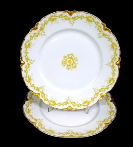 Haviland Limoges Ranson Schleiger 269B Floral 2 Piece 9 5/8" Dinner Plates 1894- - Picture 1 of 8
