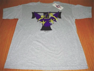 全新 Trenton Thunder Minor 棒球 灰色 棉 T 恤 男孩 大号 10 — 第 1/3 张图片