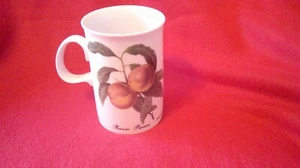Dunoon Made in Scotland Strawberry / Nectarine D Handle Mug Fine Bone China - Picture 1 of 4