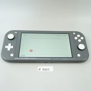 Nintendo Switch Lite Console Only Gray Grey HDH-001  (READ DESC) #5431 - Picture 1 of 10