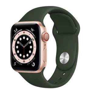 Apple Watch Série 6 GPS+Cellulaire Vert 40Mm Boîtier Acier - Sport - Ouvert - Photo 1/4