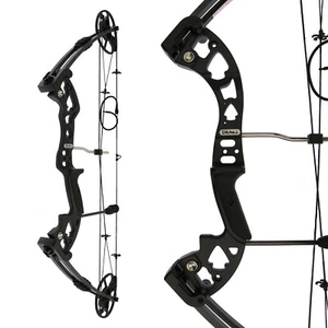 Entry Compound Bow - DRAKE Draco - 30-70 lbs - Compound Bow - Picture 1 of 16