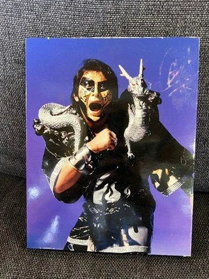 90 年代职业摔跤亲笔签名:7 个角色,Jushin Thunder Liger 肖像,j44 — 第 1/4 张图片