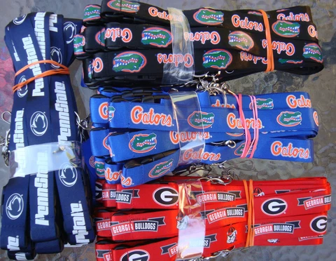 NCAA College Breakaway Lanyard Keychain TEAM COLOR Official licensed (Pick Team) Cover