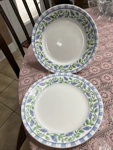 Corelle French Lilac Blue Green Grape Luncheon Dish Plate Used - Picture 1 of 4