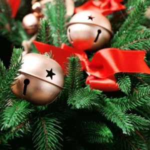 Feiertage Weihnachten Thanksgiving Düfte Konzentriert Flüssigkeit Köcheln Potpourri Li - Bild 1 von 43