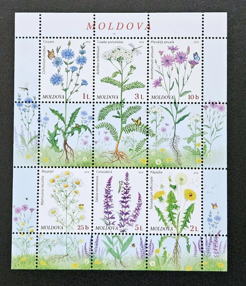 Flores silvestres 2016/M/S. MNH. MOLDAVA  Foto 1 de 1