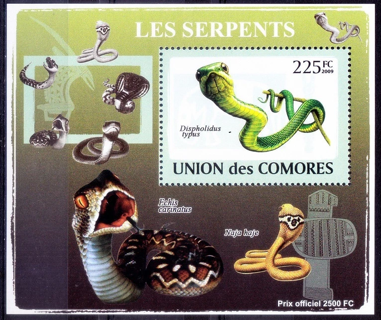 Boomslang (Dispholidus typus) Snakes, Reptiles, Comoros 2009 MNH Sheet  - Image 1 of 1