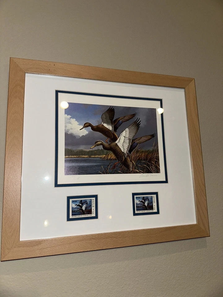 Framed Maine 1984 Duck Stamps and Print - Image 1 of 1
