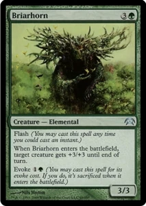 Briarhorn Planechase 2009 Edition MTG Uncommon - Picture 1 of 1