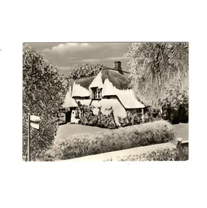 AK Ansichtskarte Nordseeinsel Sylt / Friesenhaus - Bild 1 von 2