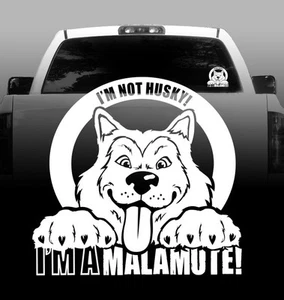 I'm Not Husky, I'm a Malamute - Vinyl Sticker Decal - High Quality, Window - Picture 1 of 1