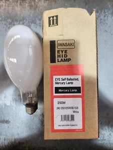250W Mercury Vapour Self Ballasted Lamp E27/28 Ovoid/Elliptical Eye LightingSBML - Picture 1 of 9