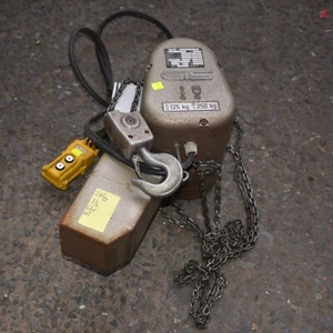250kg GIS chain hoist winch Double chain Type 25 pendant control 0.48kW - Picture 1 of 7