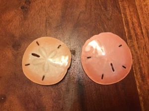 Vintage Women’s Light Weight Shiny Sand Dollar Belt Loops Buckles Peach (MA) - Picture 1 of 5