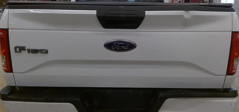 Puerta trasera blanca sin escalón de puerta trasera para camioneta Ford F150 15 16 17~~~~~~~~~~~~~~~~ Foto 1 de 4