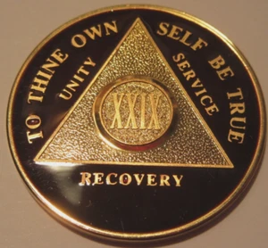Burgundy red AA Gold Plate Alcoholics Anonymous 29 Year Medallion Coin Token - Picture 1 of 5