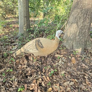 Guscio rigido per gallina esca tacchino con supporto - Foto 1 di 15