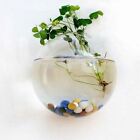 Plant Container Wall Mounted Vase Fish Tank Flower Arrangement Bottle  Balcony
