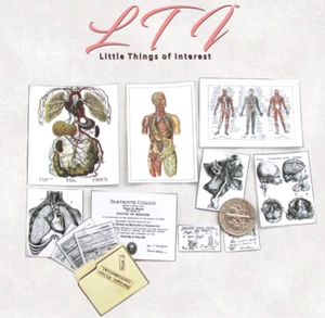 Miniature MEDICAL OFFICE DOCUMENTS 1:12 Scale DOCTOR NURSE ANATOMY 13 Pc - Picture 1 of 8