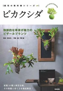 Silber - Attraktive bizarre Pflanzen Japan grünes Arrangement Anbaubuch - Bild 1 von 2