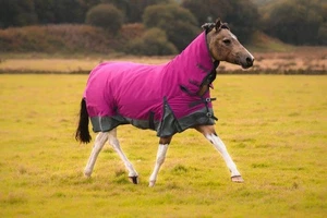 Raspberry/Grey Turnout Lite Horse Rug Water Resistant 600 Denier Combo Neck Rugs - Picture 1 of 5