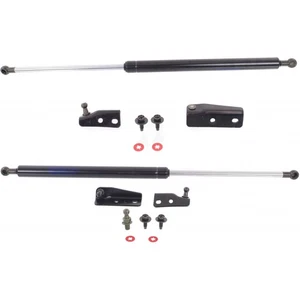 For Infiniti FX35/FX45 Lift Support 2003-2008 Driver and Passenger Pair Liftgate - Picture 1 of 6