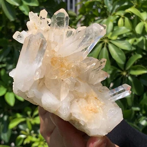 1.29LB A+++Large Natural white Crystal Himalayan quartz cluster /mineralsls - Picture 1 of 14