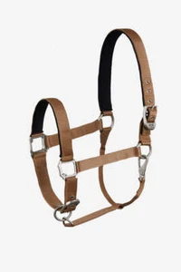 B Vertigo Hardwick Halter - Tiger's Eye Brown - Picture 1 of 2