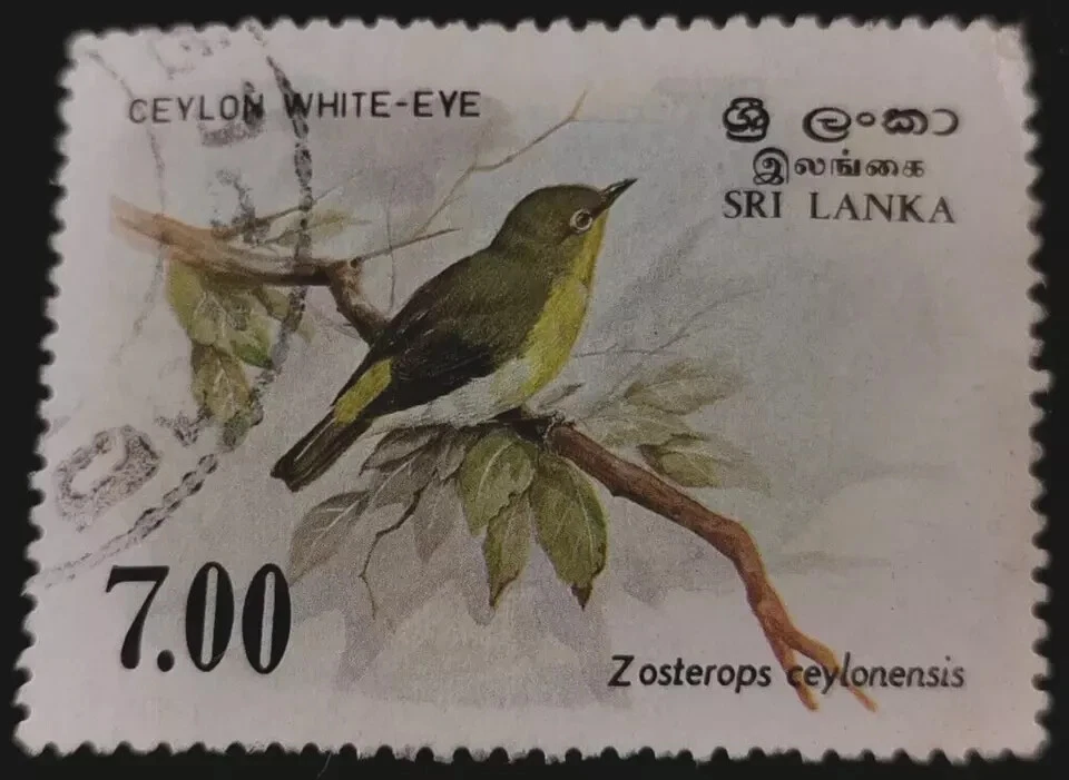 Sri Lanka: 1988 Birds 7.00 R. (Collectible Stamp). - Image 1 of 1