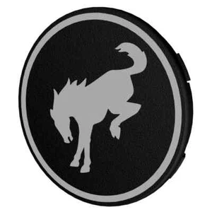 Custom Bronco Fifteen52 HD 107mm Center Caps | Custom Ford Bronco Acc. - Picture 1 of 6