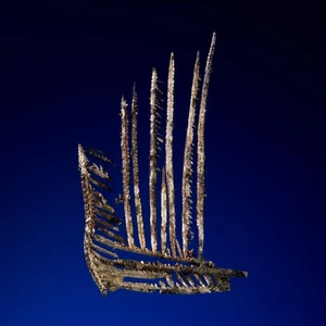 Batópilas de Plata, Municipio de Batópilas, Chihuahua, México 1212-4599 - Imagen 1 de 1