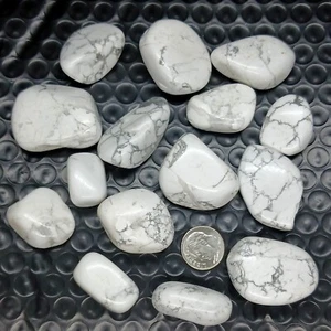 Howlite Tumble 1/2 lb Howlita Blanco Natural Cristal Curativo Piedra Acuario Decoración - Imagen 1 de 5