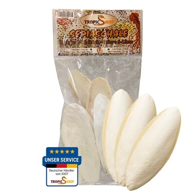 Sepiaschale Kalziumquelle 6-10 Stück ca. 100g Schildkröten, Bartagamen, Vögel - Bild 1 von 4