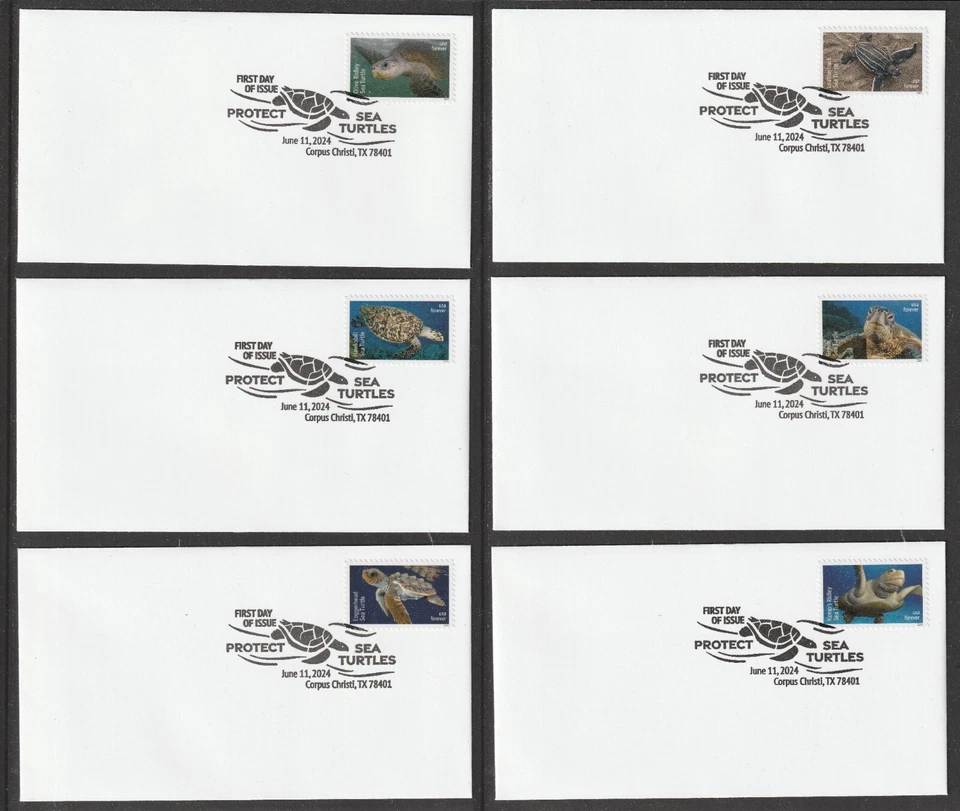 US 5865-5870 Protect Sea Turtles (set of 6) BWP FDC 2024 - Image 1 of 4