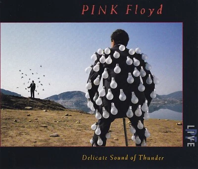 PINK FLOYD - 2 CD - DELICATE SOUND OF THUNDER  - Bild 1 von 2