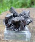 Wolframite Ferberite Portugal Mineraux Collection Pierre Pyrite Collection