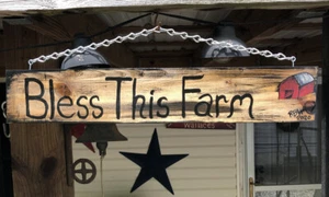 HAND PAINTED Bless This Farm Porch Sign. One Of A Kind.With Chain 20 X 4 2020 - Picture 1 of 4