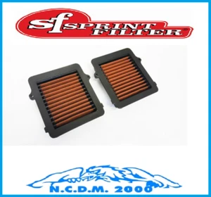 FILTRO ARIA SPRINT FILTER HONDA 1000 CRF AFRICA TWIN REPLICA ABS 2017-2018 - Imagen 1 de 1